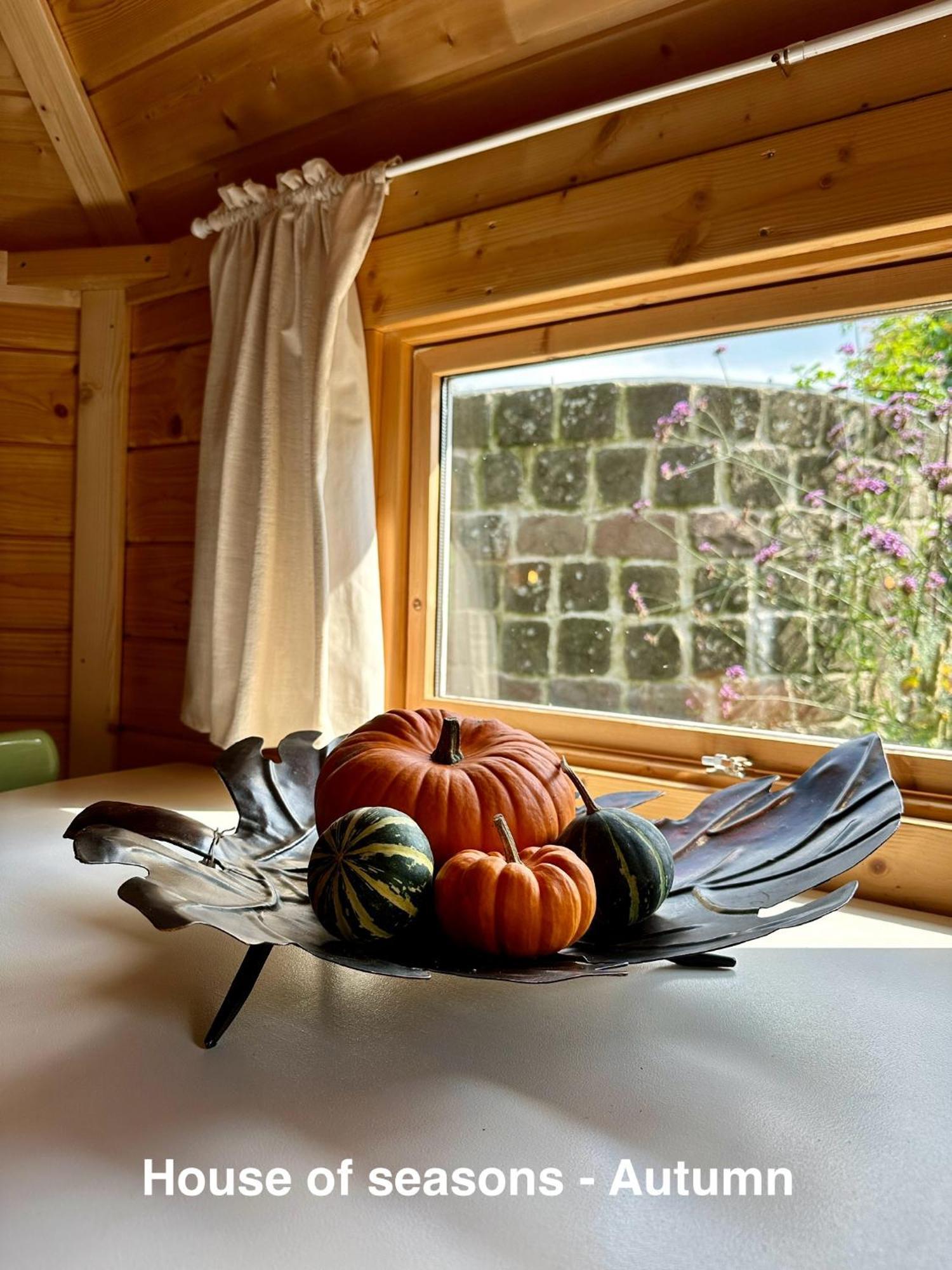 B&B Cosy Garden Alblasserdam Room photo
